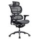 Ergo 1 Mesh Chair