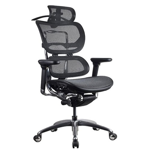 Ergo 1 Mesh Chair