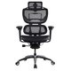 Ergo 1 Mesh Chair