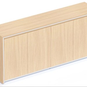 Casa Executive Swing Door Cupboard
