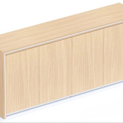 Casa Executive Swing Door Cupboard