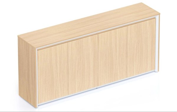 Casa Executive Swing Door Cupboard