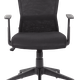 Ashley Chair