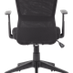Ashley Chair