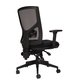 Breeze Mesh Chair