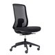 Buro Elan Mesh Back