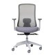 Buro Elan Mesh Back