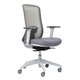 Buro Elan Mesh Back