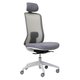 Buro Elan Mesh Back