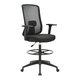Buro Elan Mesh Back