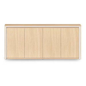 Casa Executive Swing Door Cupboard 1