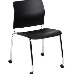 Castors 1
