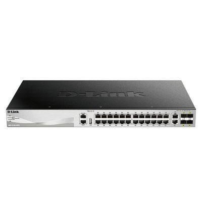 DLDGS313030TS