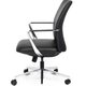 Director Medium Back Leather Chair