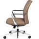Director Medium Back Leather Chair