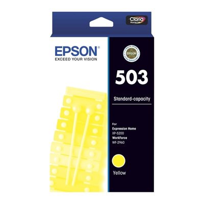 E503Y