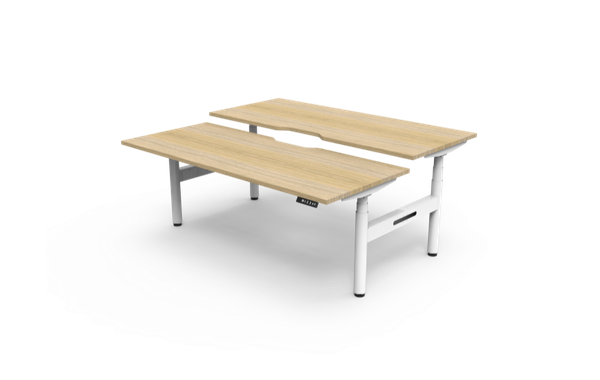 Halo + Back to Back 1800