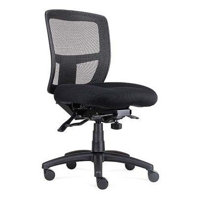 Ergo Task Chair