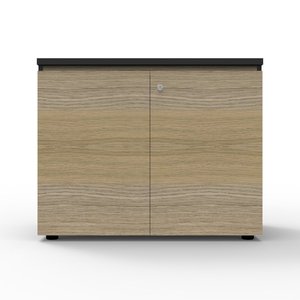 Infinity Swing Door NO 900