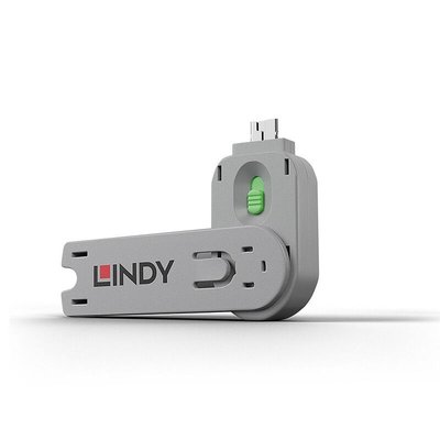 LIN40621