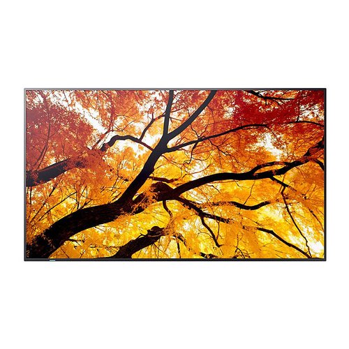 SHARP M-series 98'' Display