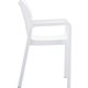 Siesta Diva Arm Chair - Bundle of 4