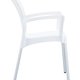 Siesta Dolce Arm Chair - Bundle of 4