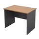 Hunter Student Desk