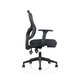 Zephyr Chair