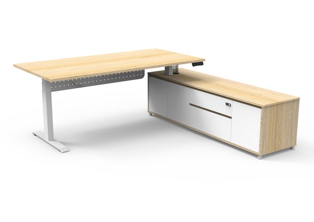 An Executive Desk To Stand Out