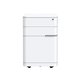 Buro MyWorkSpace Mobile Pedestal
