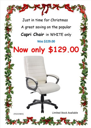 Executive Office Chairs
