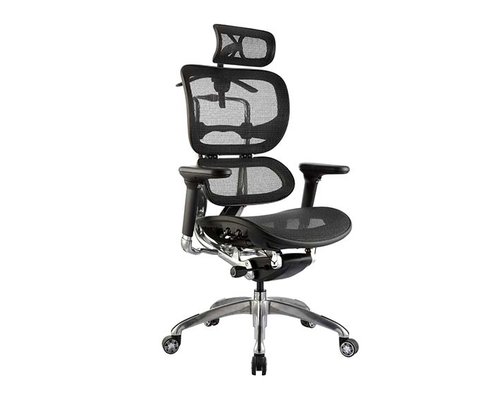 Ergonomic Chairs