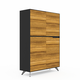 Novara Cabinet