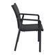 Pacific Arm Chair - Bundle of 2