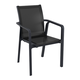 Pacific Arm Chair - Bundle of 2
