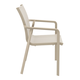 Pacific Arm Chair - Bundle of 2