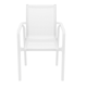 Pacific Arm Chair - Bundle of 2