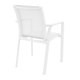 Pacific Arm Chair - Bundle of 2