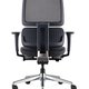 Orca Chair
