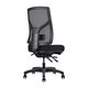 Gust Mesh Chair